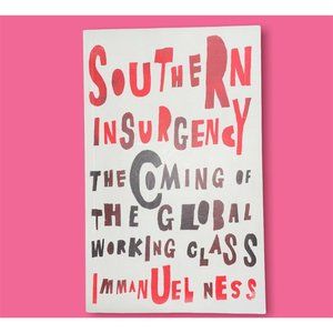southern insurgency the coming of the global working class
